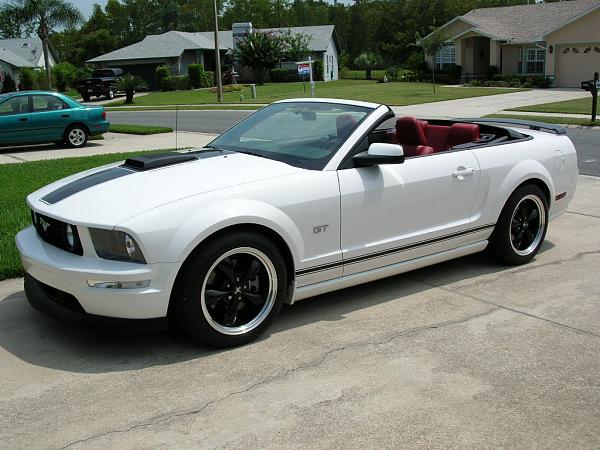 Ponies on The Run!-dscn3697.jpg