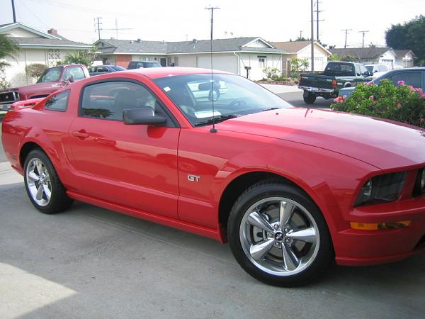 Ponies on The Run!-img_0650m.jpg