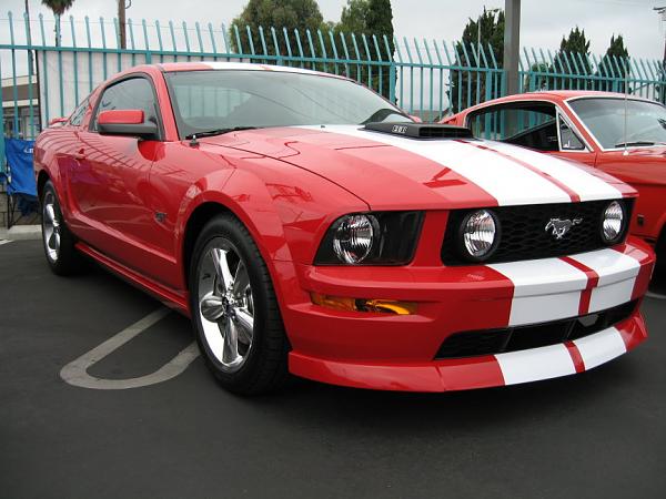 Ponies on The Run!-img_0128m.jpg