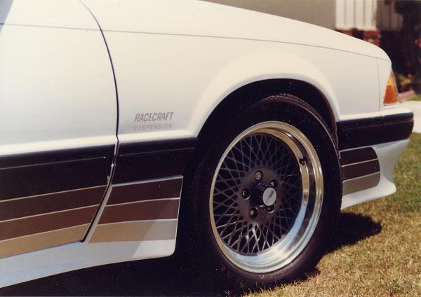 Ponies on The Run!-88-saleen-002.jpg