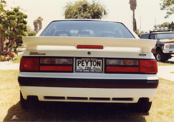 Ponies on The Run!-88-saleen-003.jpg