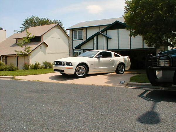 Ponies on The Run!-5.jpg