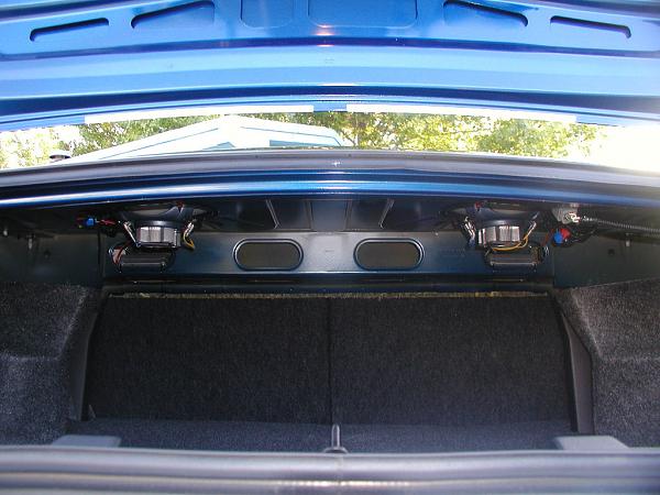 Ponies on The Run!-infinity-682.7cf-rear-install-complete-1.jpg