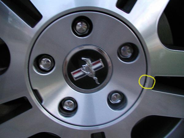 Ponies on The Run!-front-driver.jpg