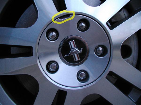 Ponies on The Run!-rear-driver.jpg