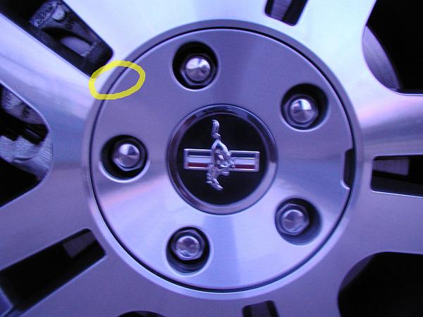 Ponies on The Run!-rear-passenger.jpg