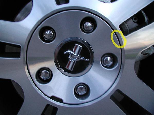 Ponies on The Run!-front-passenger.jpg