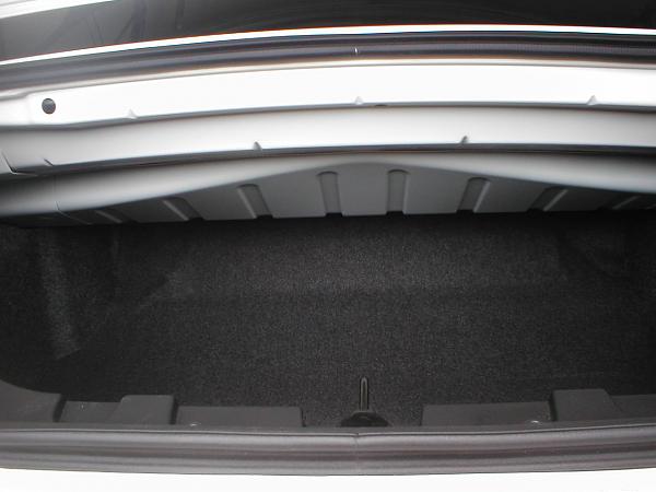 Ponies on The Run!-p1010123.jpg