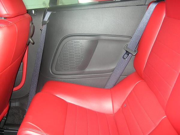 Ponies on The Run!-dscn3513.jpg