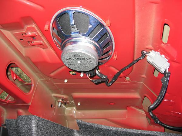 Ponies on The Run!-img_7544m.jpg