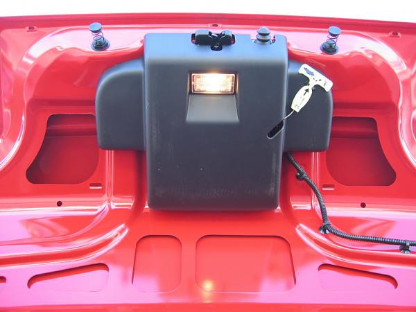 Ponies on The Run!-img_7546m.jpg