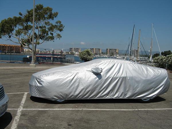 Ponies on The Run!-mdr002.jpg