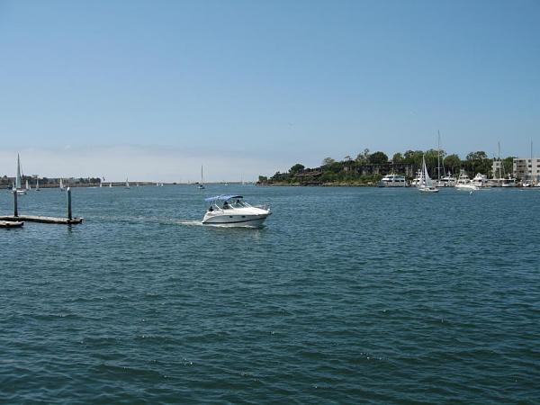 Ponies on The Run!-mdr004.jpg