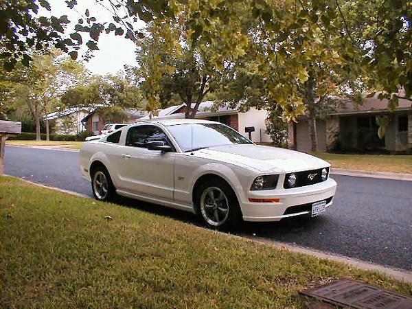 Ponies on The Run!-gatetree5-1.jpg