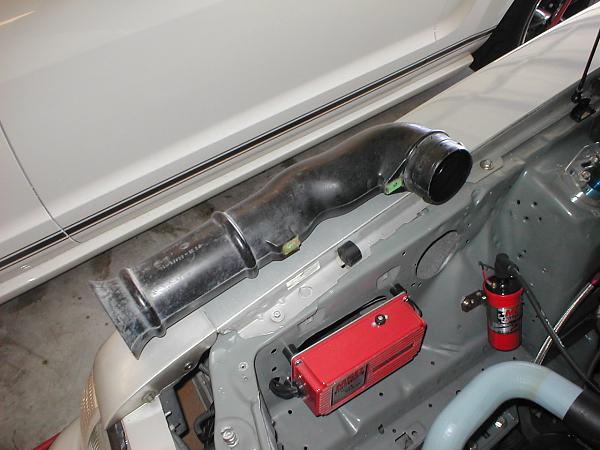 Ponies on The Run!-p1010139.jpg