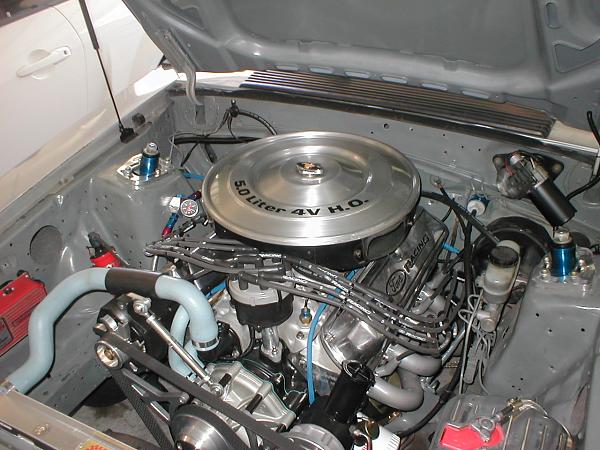 Ponies on The Run!-p1010140.jpg