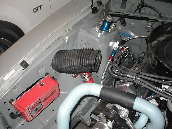 Ponies on The Run!-p1010145.jpg