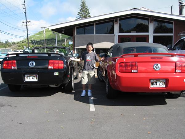 Ponies on The Run!-img_0441m.jpg