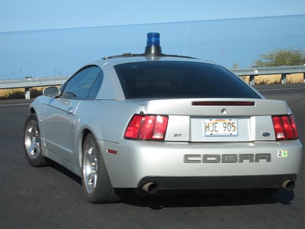 Ponies on The Run!-img_0787_1.jpg