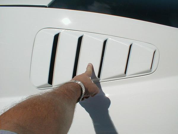 Ponies on The Run!-louver2.jpg