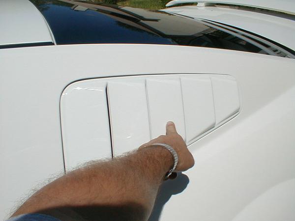 Ponies on The Run!-louver3.jpg