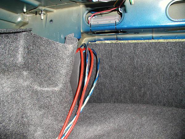 Ponies on The Run!-speaker-rcas-ran-trunk.jpg