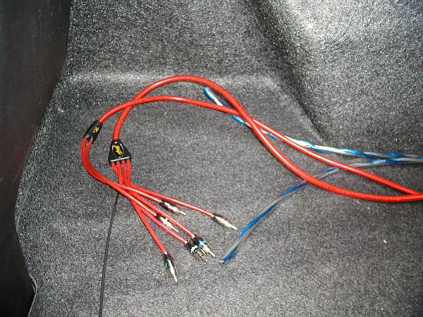 Ponies on The Run!-speaker-rcas-ran-trunk2.jpg