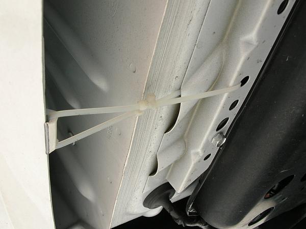 Ponies on The Run!-dscn3749.jpg