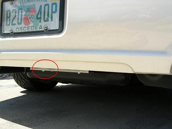 Ponies on The Run!-dscn3747.jpg