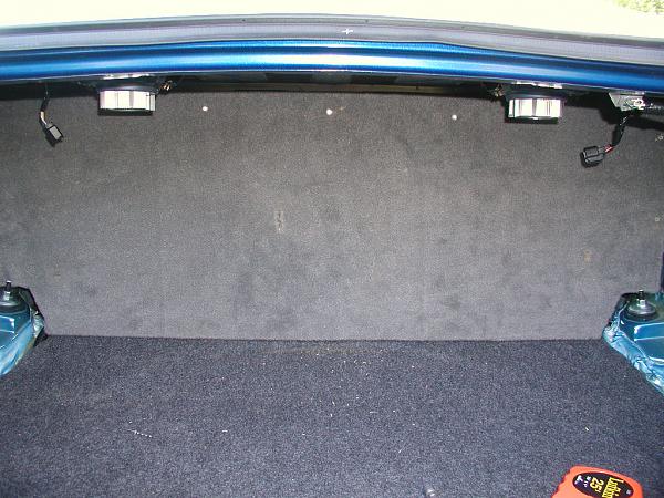 Ponies on The Run!-amp-wall-installed-2.jpg