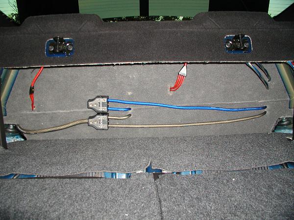 Ponies on The Run!-backside-amp-wall.jpg