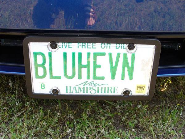 Ponies on The Run!-plateholder.jpg