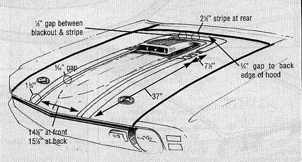 Ponies on The Run!-70-stripe-measurements.jpg