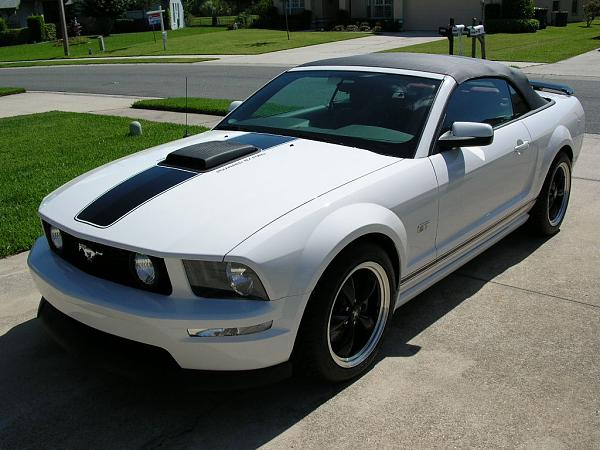 Ponies on The Run!-dscn3672.jpg