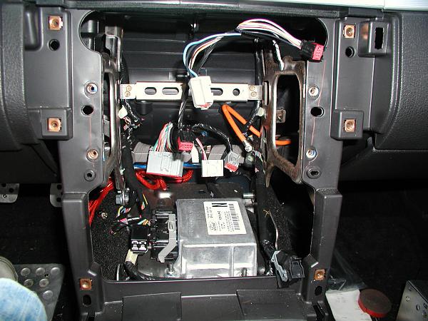 Ponies on The Run!-gutted-1.jpg