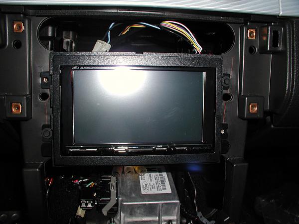 Ponies on The Run!-mocked-up-1.jpg