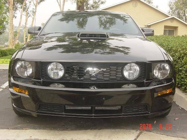 Ponies on The Run!-copy-front-side2.jpg