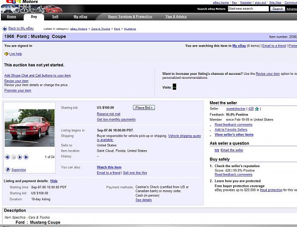 Ponies on The Run!-auction1.jpg