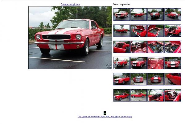 Ponies on The Run!-auction2.jpg