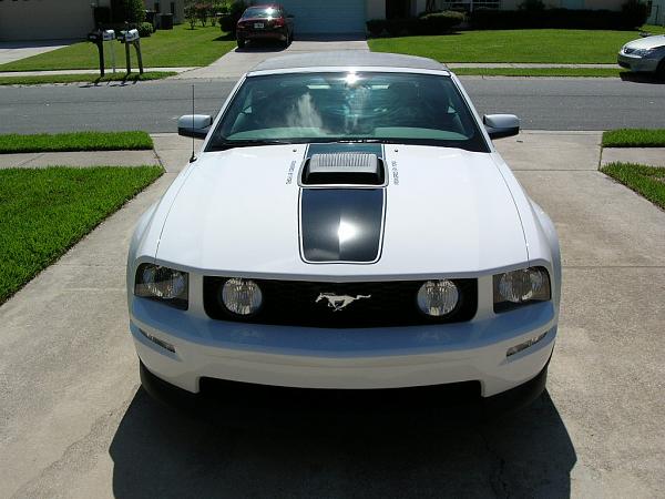 Ponies on The Run!-dscn3673.jpg