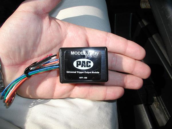 Ponies on The Run!-pac-tr-7.jpg