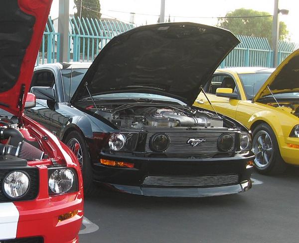 Ponies on The Run!-painted3.jpg