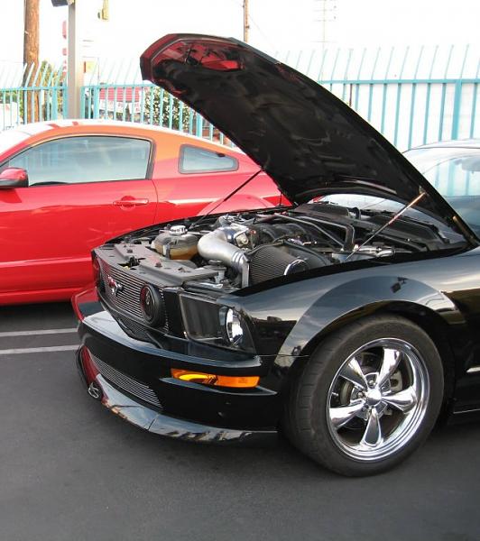 Ponies on The Run!-painted2.jpg