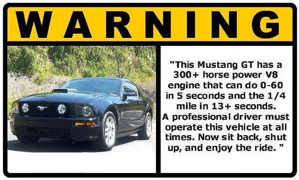 Ponies on The Run!-pony1.jpg