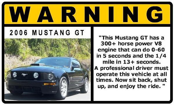 Ponies on The Run!-pony2.jpg