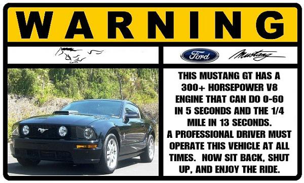 Ponies on The Run!-pony2b.jpg