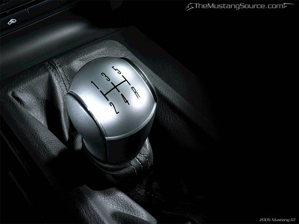 Ponies on The Run!-0914wp-55.jpg