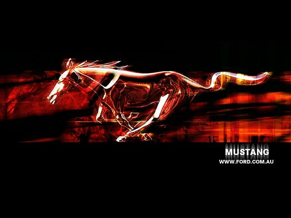 Ponies on The Run!-1024_mustang6.jpg