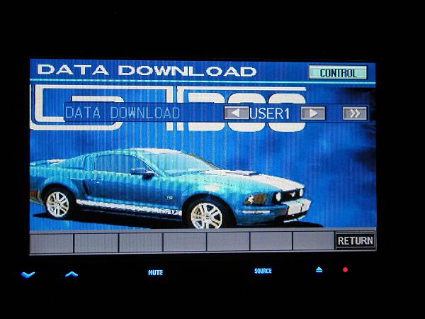 Ponies on The Run!-alpine-iva-w200-012.jpg