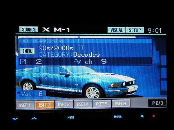 Ponies on The Run!-alpine-iva-w200-013.jpg